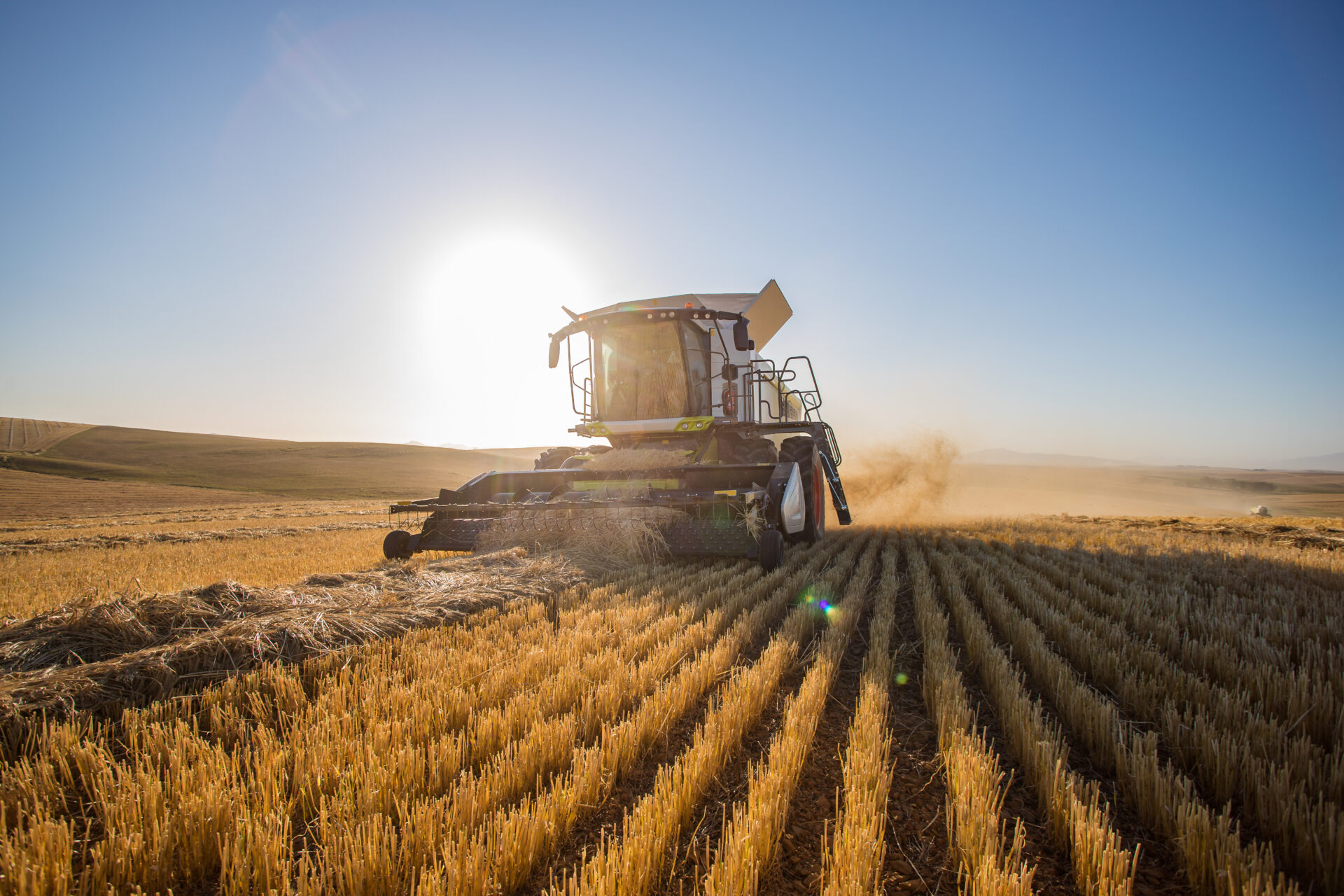 Wide angle view of a combine harvester harvesting wheat on a whe Wide angle view of a combine harvester harvesting wheat on a wheat field on a farm in the Swartland in the Western Cape of South Africa